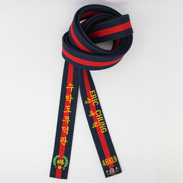 Tang Soo Do Master Belt [TM1]